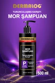 DERMALOG Silver Mor Şampuan 500 ML - 1