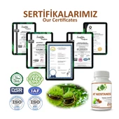 At Kestanesi Kapsül (Horse Chestnut Capsule)  60 Adet thumbnail 5