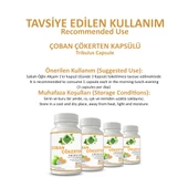 Çoban Çökerten Kapsül (TRİBULUS CAPSULE) 60 Adet thumbnail 4