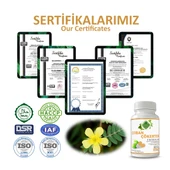 Çoban Çökerten Kapsül (TRİBULUS CAPSULE) 60 Adet thumbnail 5