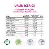 Ekinezya Kapsül (Echinacea Capsule) 60 Adet thumbnail 3
