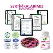 Ekinezya Kapsül (Echinacea Capsule) 60 Adet thumbnail 5