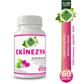 Ekinezya Kapsül (Echinacea Capsule) 60 Adet thumbnail 1