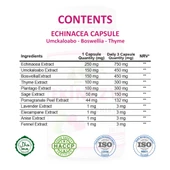 Ekinezya Kapsül (Echinacea Capsule) 60 Adet thumbnail 2