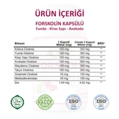 Forskolin Kapsül (COLEUS CAPSULE) 60 Adet - 3
