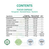 Fucus Kapsül (FUCUS CAPSULE) 60 Adet thumbnail 2