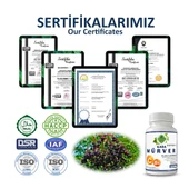 Kara Mürver Kapsül (Black Elderberry Capsule)  60 Adet thumbnail 5