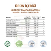 Kordisep Kapsül (CORDYCEPS CAPSULE) 60 Adet thumbnail 3