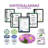 Laden Gülü Kapsül (Rock Rose Capsule) 60 Adet - 5