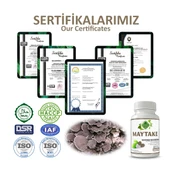 Maytake Kapsül (Maitake Capsule) 60 Adet - 5
