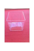 Betta, Karides, Japon Balığı - Mika Fanusu 2.8 Lt 15x15x15Cm - 3