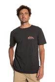 Quiksilver EQYZT07252 Pastımeparadise Erkek T-shirt - 5