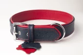 Privilege Flotter Hakiki Deri Köpek Boyun Tasması XXS Lacivert Kırmızı 2,5x22-30 cm - 1