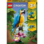 LEGO Creator 31136 Egzotik Papağan (253 Parça) thumbnail 3