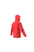 adidas Erkek Sweatshirt IC8050 - 10