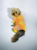 Tesla Penye Tulum Duo Köpek Tulumu Köpek Elbisesi - 7