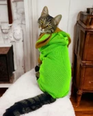 Froggy Kulaklı Duo Kedi Tulumu,Kıyafeti - 3