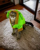 Froggy Kulaklı Duo Kedi Tulumu,Kıyafeti - 7