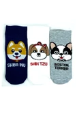 3 Çift Sevimli Köpek Temalı Baskılı Yumuşak Kadın Bilek Çorap - 1