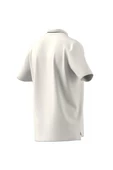 adidas Erkek T-shirt IC9315 thumbnail 12