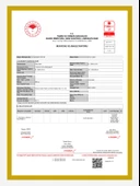 Green Amour 20 Litre %100 Naturel Sızma Zeytinyağı - 2