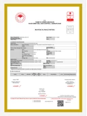 Erken Hasat %100 Natürel Sızma Zeytinyağı Soğuk Sıkım 250 ml - 2