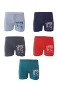 Koza Erkek Çocuk Renkli Desenli Boxer Külot 5 li Paket - 2