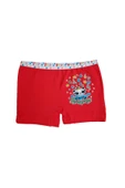 Dondeza 6lı Kız Çocuk Renkli Likralı Pamuklu Boxer Külot - 7