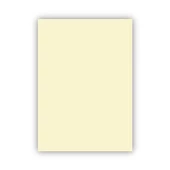Bigpoint Fon Kartonu 50x70cm 120 Gram Fildişi 100'lü Paket - 1