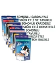 Felix Karışık Paket Pouch Kedi Konservesi 8 x 85 gr - 2