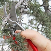 Evakat KT -1 Çelik Budama Makası - 5