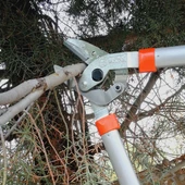 King Tiger Dal Budama Makası 100cm - KT-62 - 3