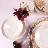 Aryıldız Tulu Porselen Yemek Takımı 24 Parça Organik Db1155 - 3