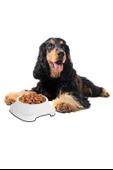 BUFFER® Silikon Kaydırmaz Taban Plastik Kedi ve Köpek Mama ve Su Kabı 2 L - 6
