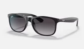Ray-Ban 0RB4202 601/8G55 Erkek Güneş Gözlüğü thumbnail 1