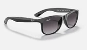 Ray-Ban 0RB4202 601/8G55 Erkek Güneş Gözlüğü thumbnail 3