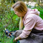 Worx Wg330e 20Volt 2.0A Li-İon Tek Akülü Profesyonel Kömürsüz Dal Budama Makası - 12