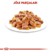 Royal Canin Kitten Jelly Yavru Kedi Konserve 85 Gr - 4