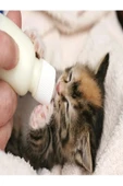Yavru Kedi ve Köpek Biberonu 50 Ml (2 Emzikli) - 2