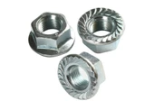 Flanşlı Somun Metrik 6mm 50 Adet Pullu Somun - 1