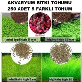 250 Adet 5 Farklı Akvaryum Bitkisi Tohumu + 10 Adet Karışık Gül Tohumu (KARGO BEDAVA) - 1