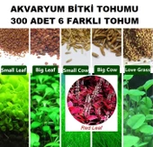 300 Adet 6 Farklı Akvaryum Bitkisi Tohumu + 10 Adet Karışık Gül Tohumu (KARGO BEDAVA) - 1