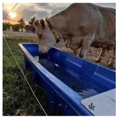 Büyükbaş Su Teknesi-320 Lt thumbnail 5