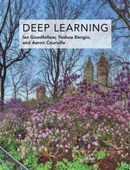 Deep Learning  -  Goodfellow - 1
