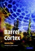 barrel cortex (kevin fox) - 1