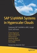 SAP S/4HANA System in Hyperscaler Clouds: Deploying SAP S/4HANA in AWS, Google Cloud, and Azure Bögelsack Chakraborty - 1