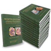The Netter Collection of Medical Illustrations Complete Package (Netter Green Book Collection) 2nd Edition by Frank H. Netter (14 BOOKS) - 1