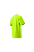 adidas Erkek T-shirt HZ4439 thumbnail 12