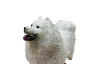 Soft Köpekler - Samoyed Cinsi Köpek  - E013 - 4