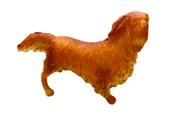 Soft Köpekler - Collie Cinsi Köpek - E013 - 2